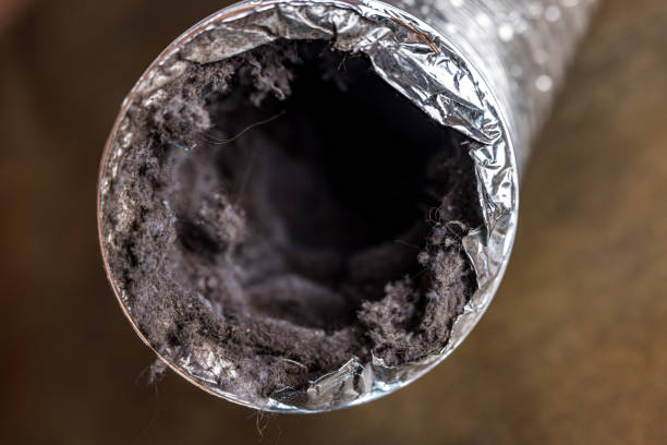 Best Dryer Vent Cleaning Services  in Reading, PA
