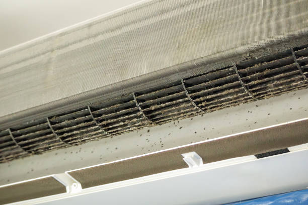 Best Duct Cleaning for Homes  in Reading, PA